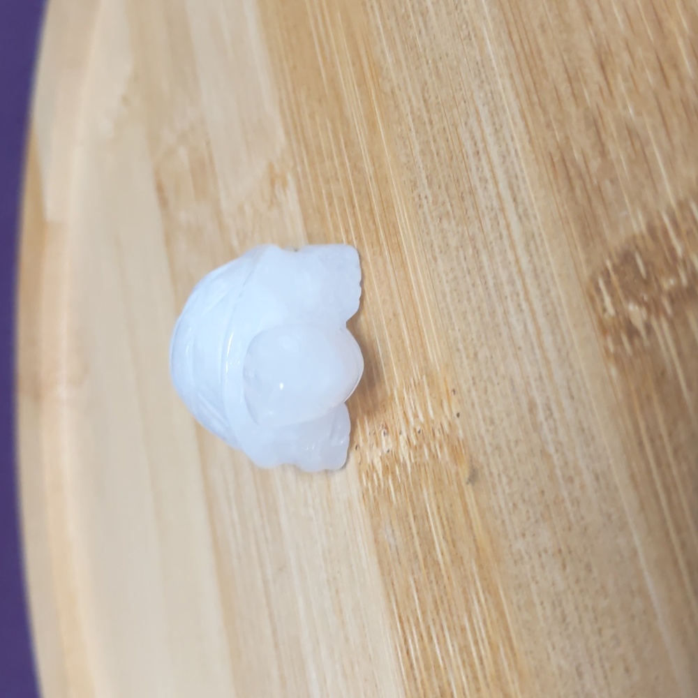 Mini Quartz Turtle 🐢 - Picture 6 of 12